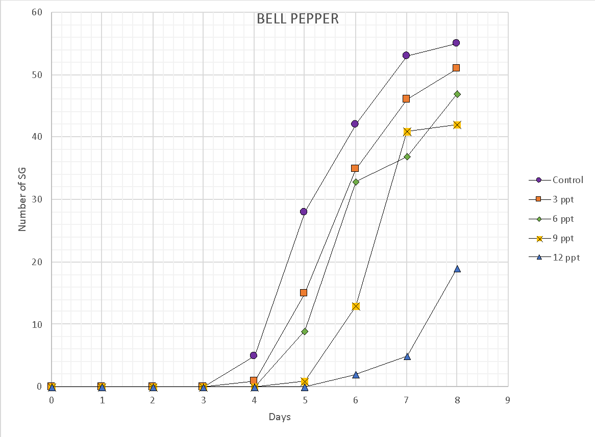 Dependence of seed sprouting on days for bell peppers. The control line showed the best results, while the worst development was observed for 12 ppt.