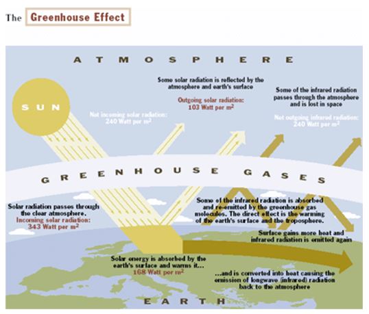 Effects of Greenhouse Emissions