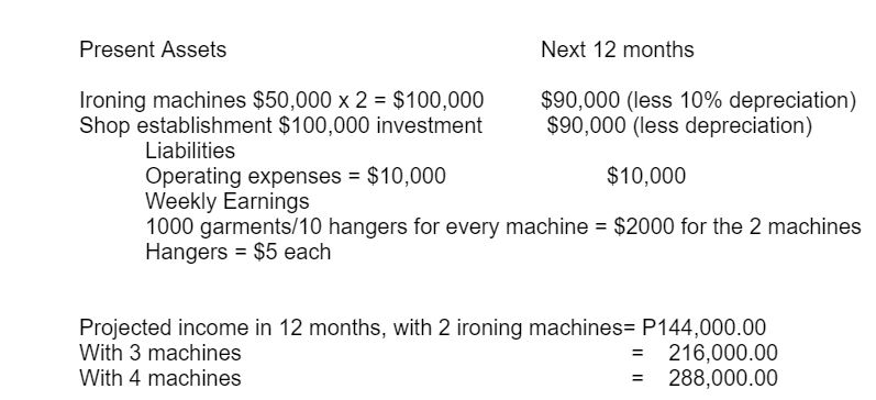 Stormer’s projected income statement for the next 12 months