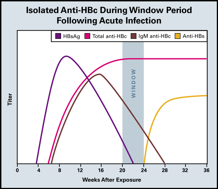 HBV testing results