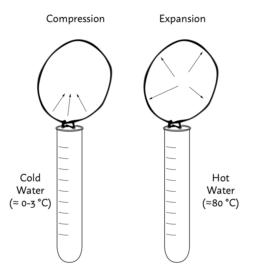 The scheme of the experiment: cold water compresses the ball, and hot water expands it