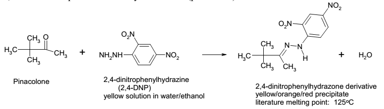 Pinacolone reaction with 2,4-DNP