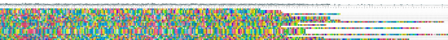 Multiple sequence alignment of flavivirus NS5 proteins