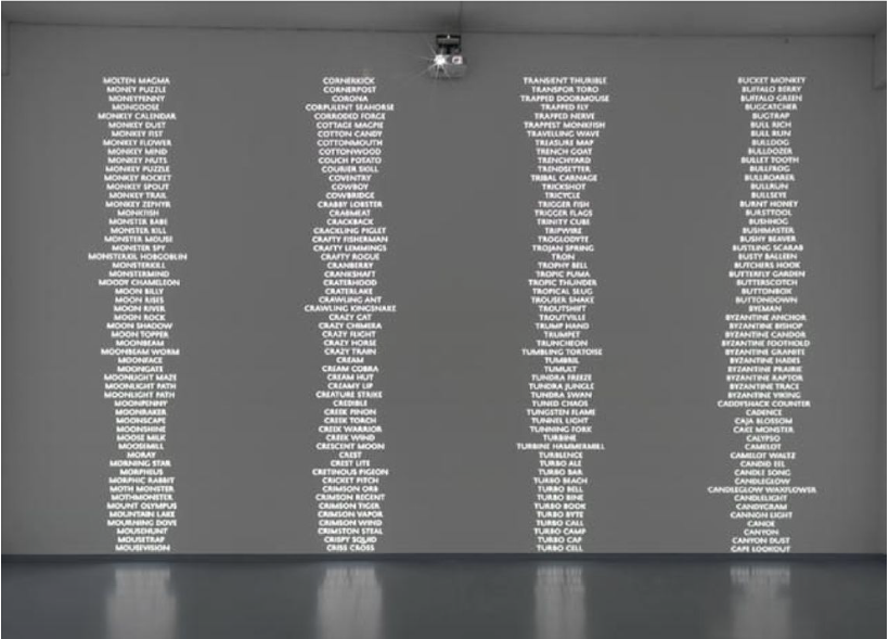 Code Names of the Surveillance State by Trevor Paglen.