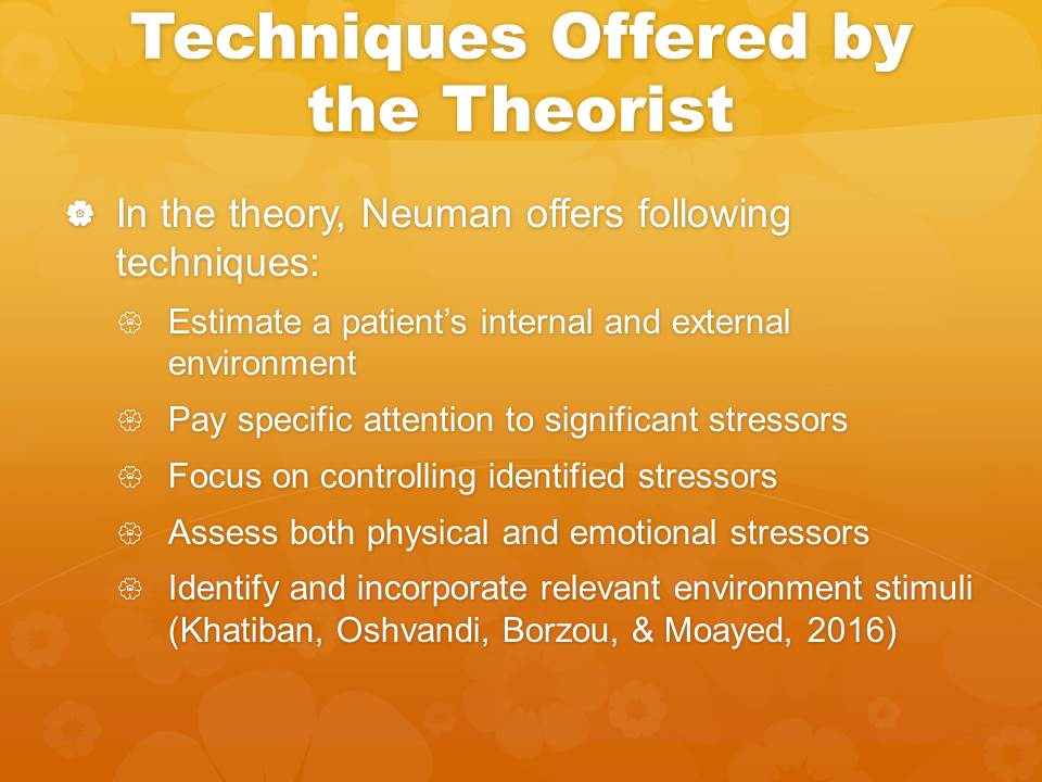 Techniques Offered by the Theorist