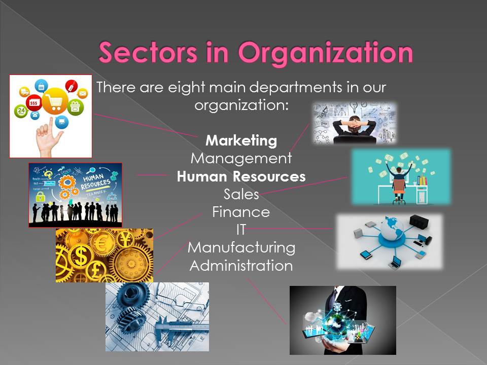 Sectors in Organization