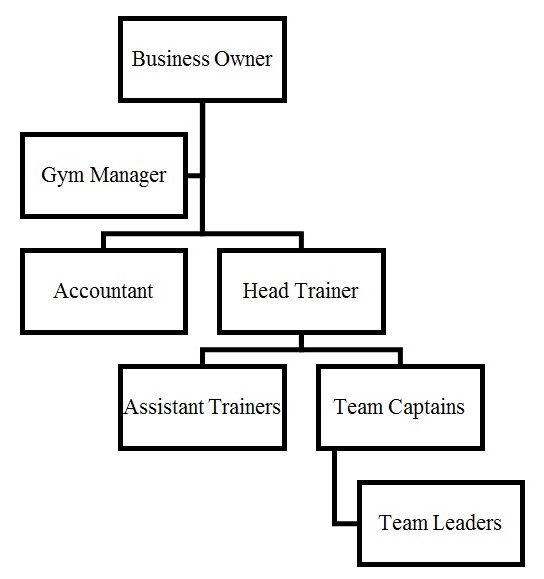 the organizational structure at Olympus SP