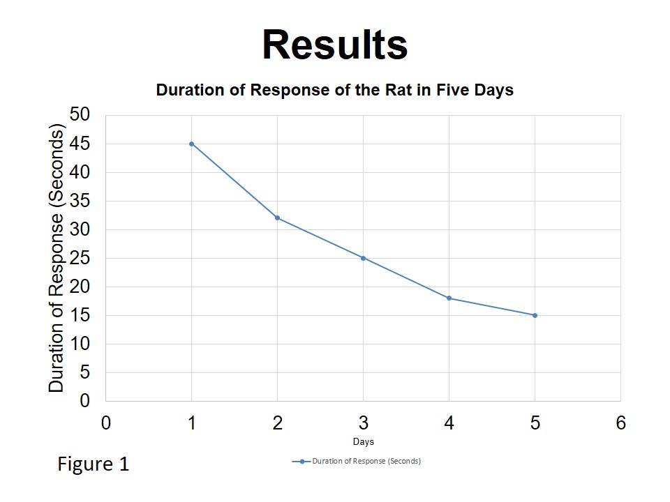Duration of Response of the Rat in Five Days