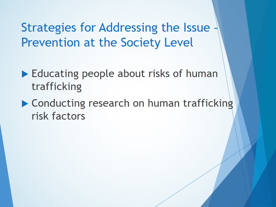 Strategies for Addressing the Issue – Prevention at the Society Level