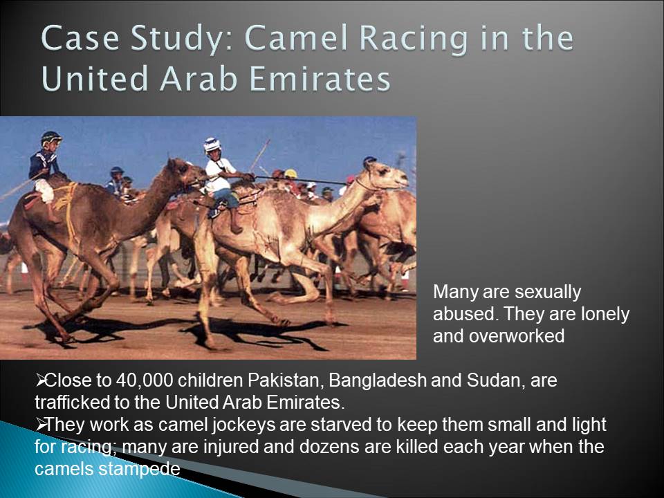 Case Study: Camel Racing in the United Arab Emirates