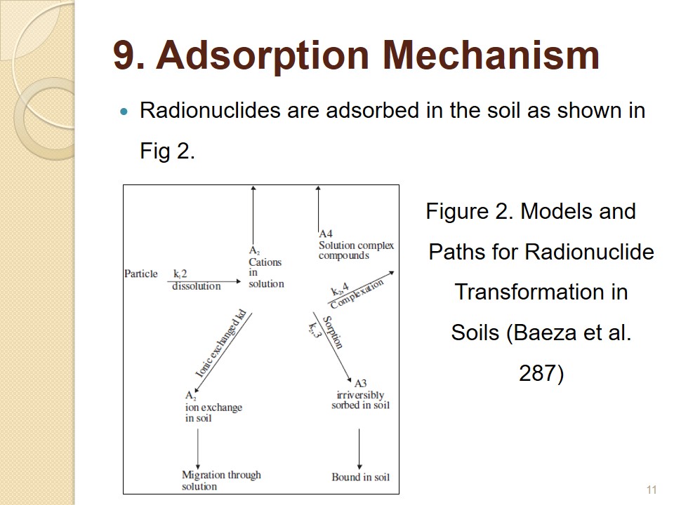 Models and Paths for Radionuclide Transformation in Soils (Baeza et al. 287).