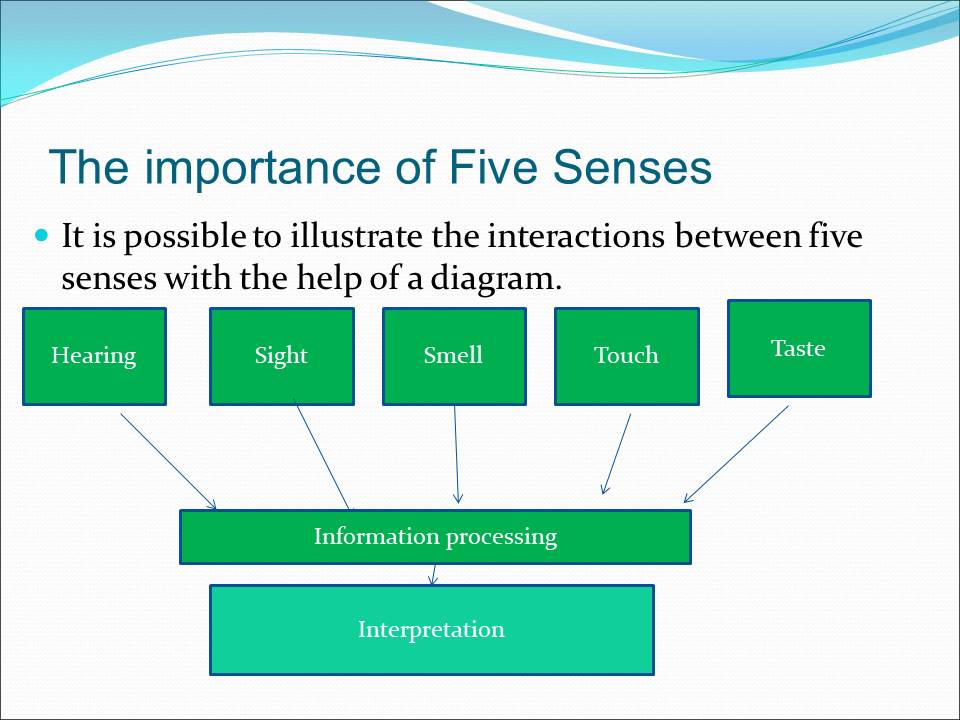 The importance of Five Senses