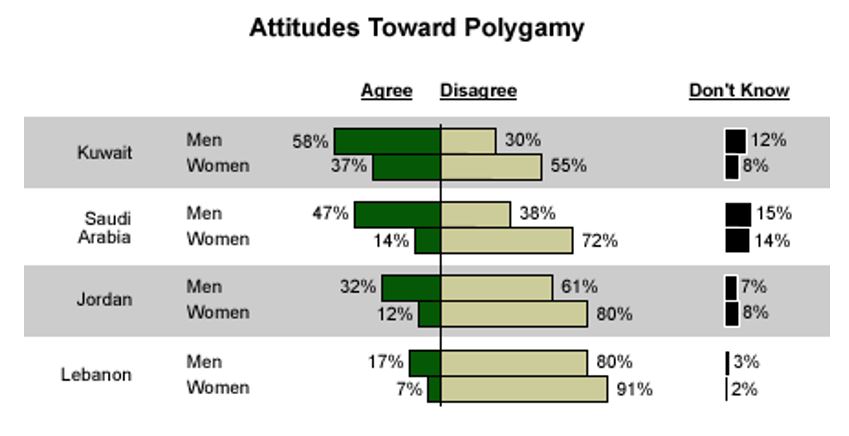 Attitudes Toward Polygamy (Statistics on Polygamy, n.d.)