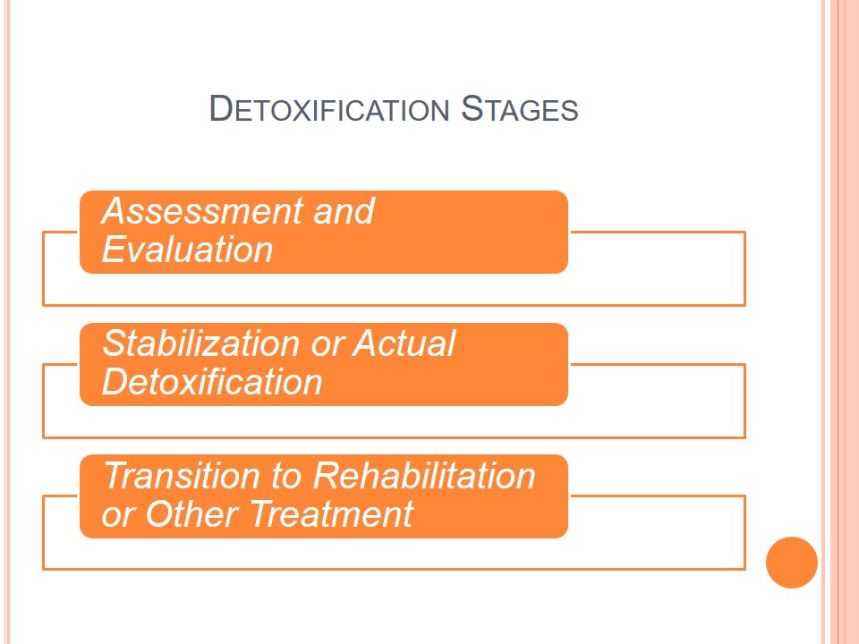 Detoxification Stages