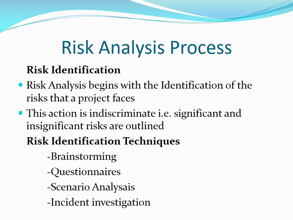 Risk Analysis Process