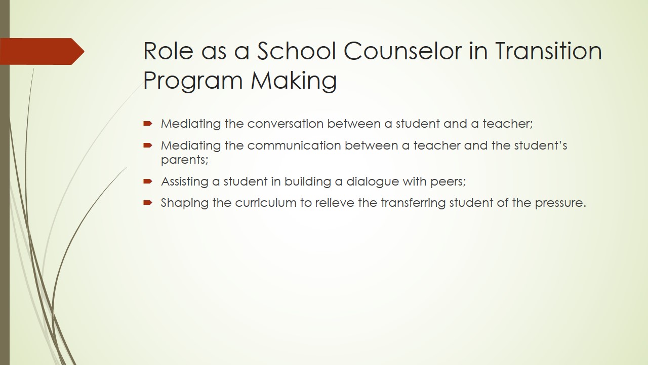 Role as a School Counselor in Transition Program Making