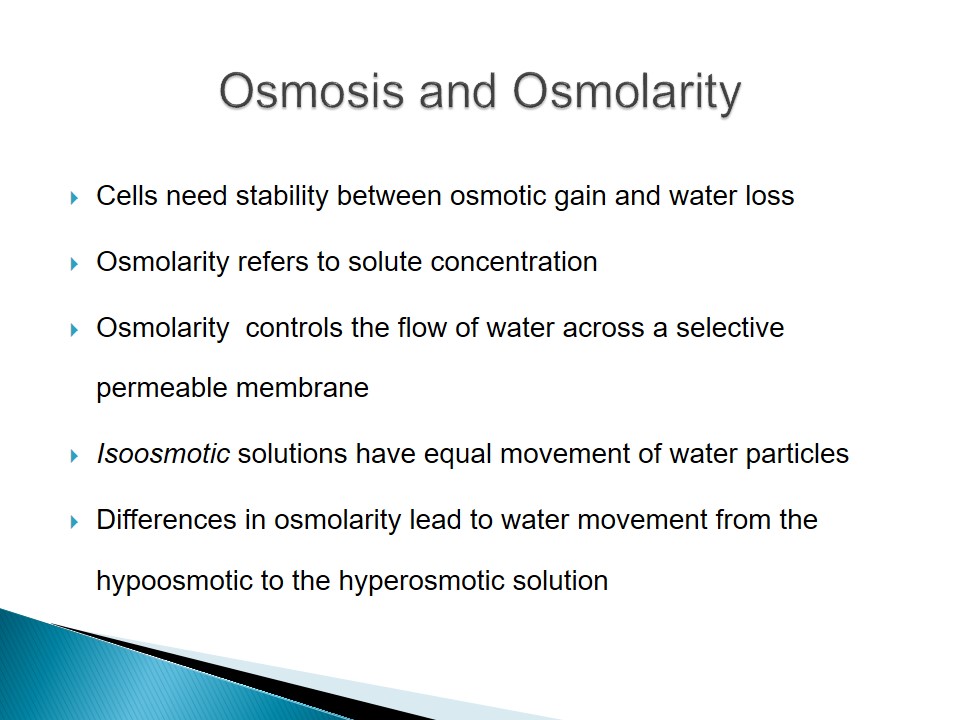 The Concept of Osmoregulation - 826 Words | Presentation Example