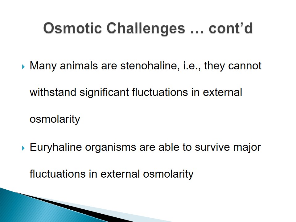 Osmotic Challenges