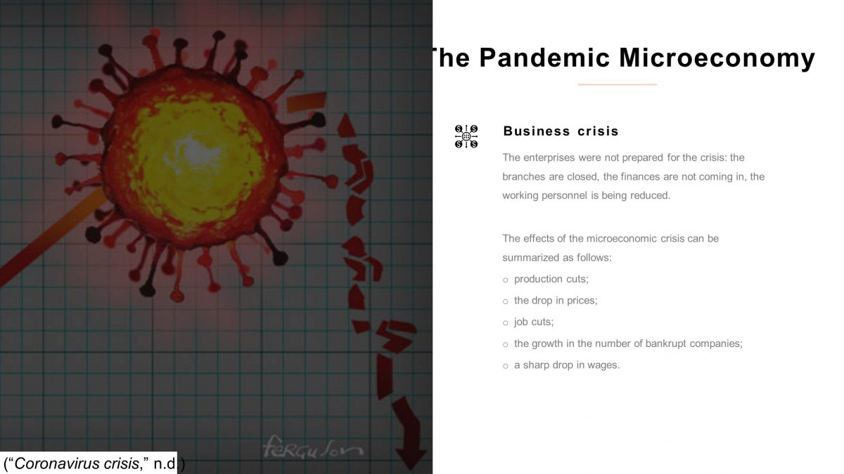 The Pandemic Macroeconomy