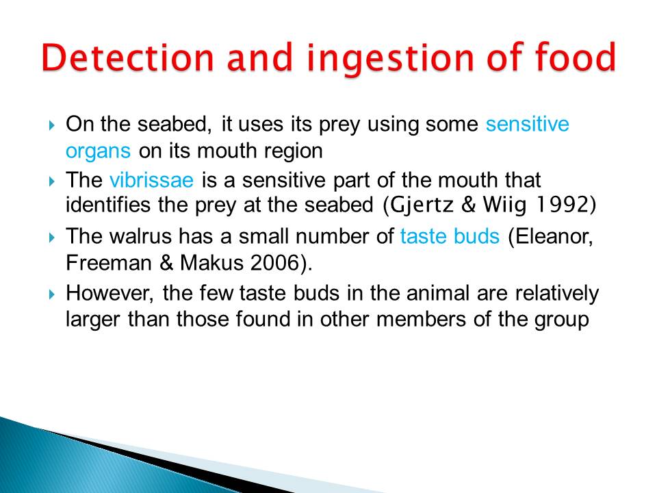Detection and ingestion of food