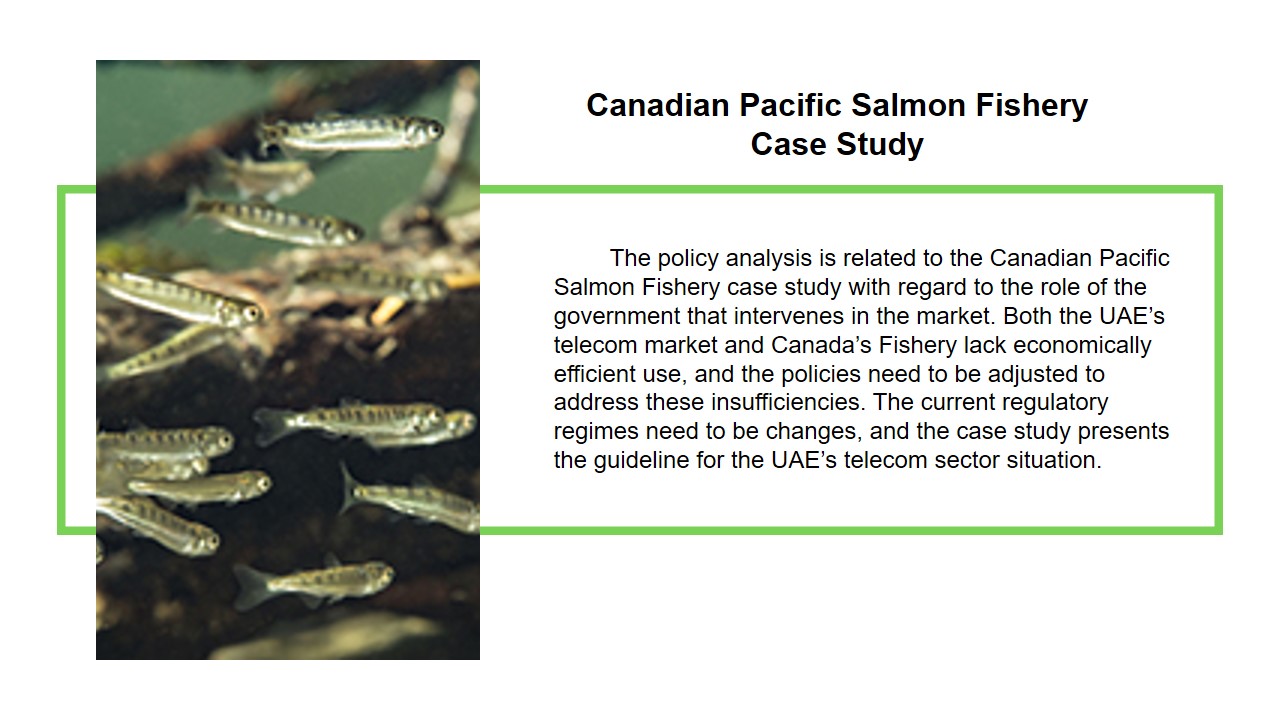 Canadian Pacific Salmon Fishery Case Study