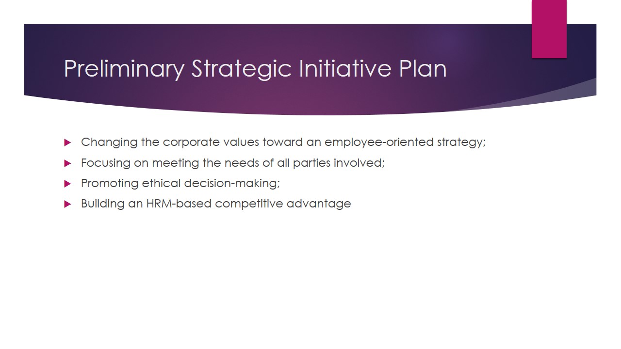 Preliminary Strategic Initiative Plan