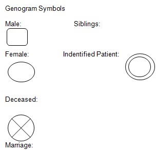 Family Genogram