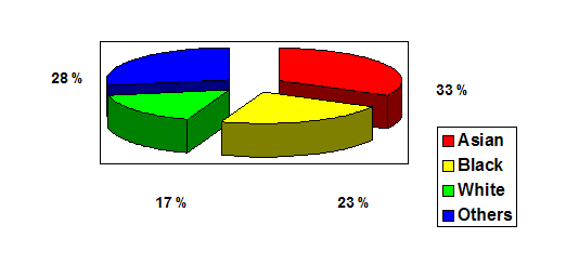 Ethnic Distribution of Respondents