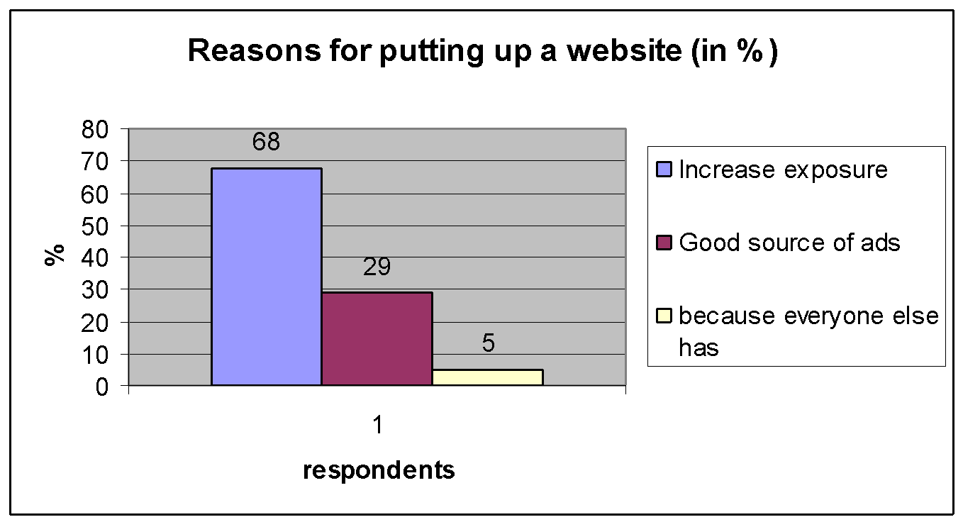 Reasons for putting up a websites