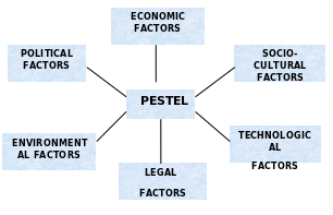 PEST analysis for international market. 