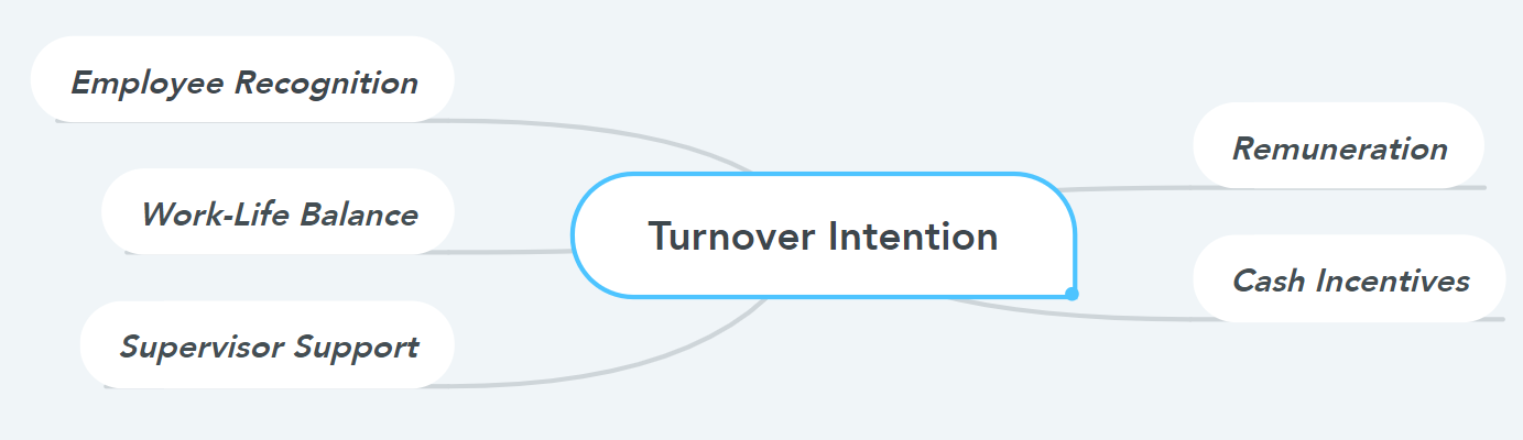 The Reasons for Turnover Intentions