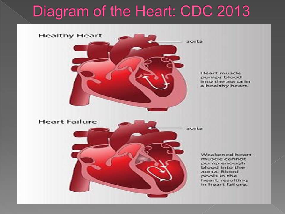 Diagram of the Heart: CDC 2013