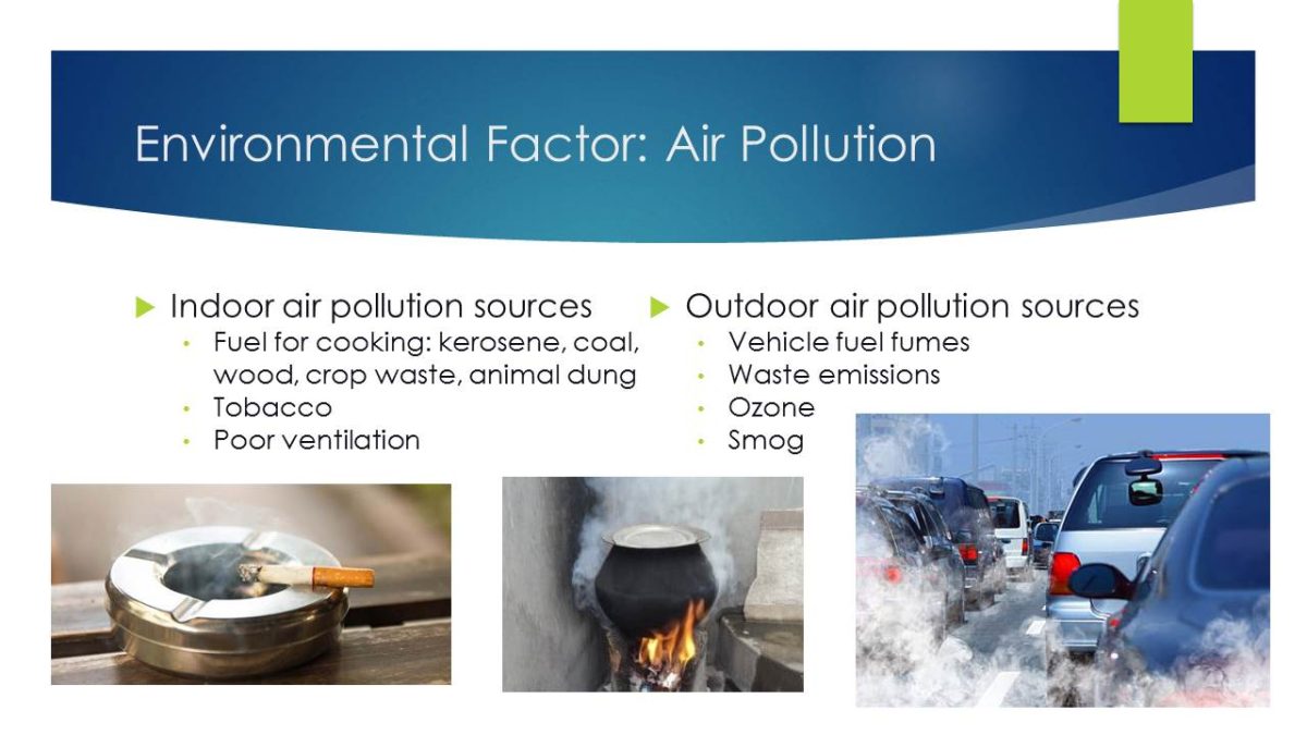 Environmental Factor: Air Pollution
