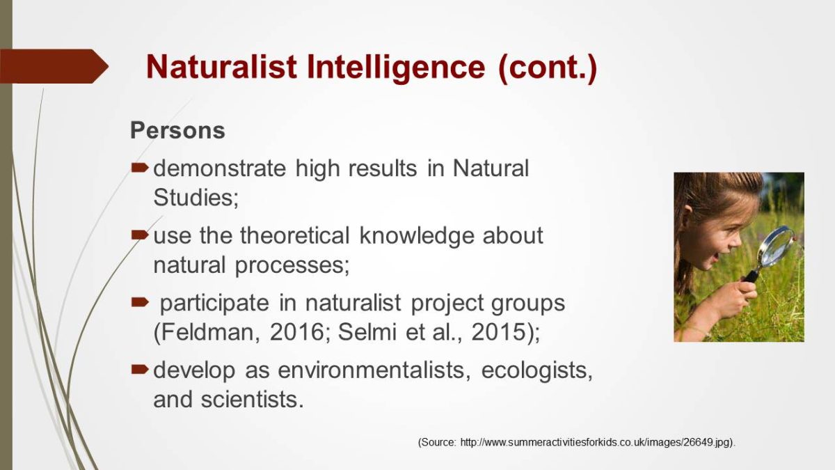 what is naturalistic intelligence