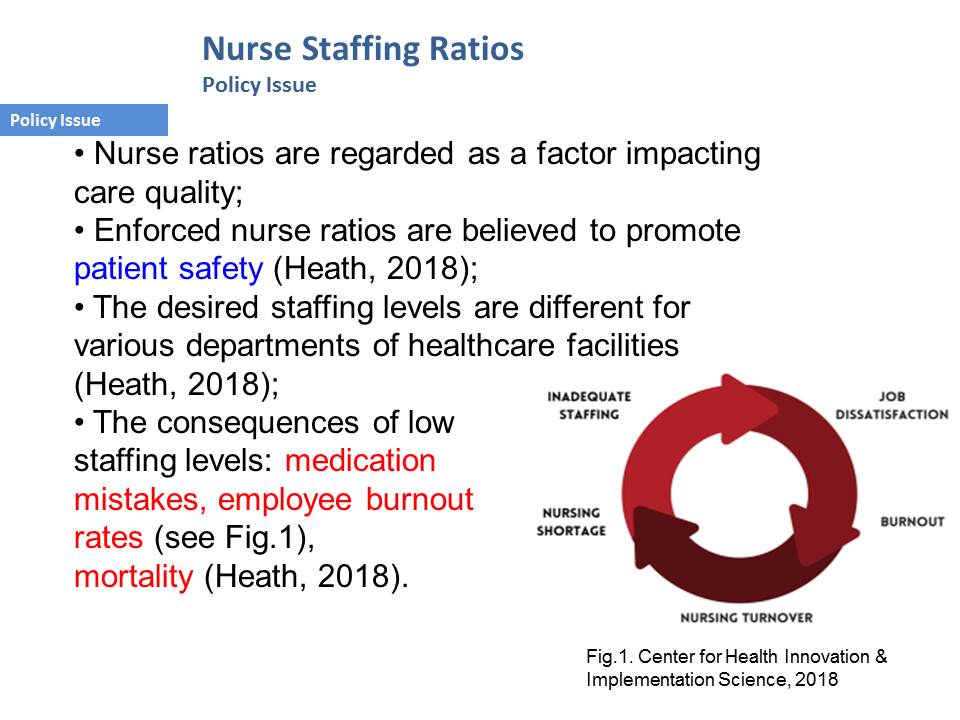Nurse Staffing Ratios: Policy Issue