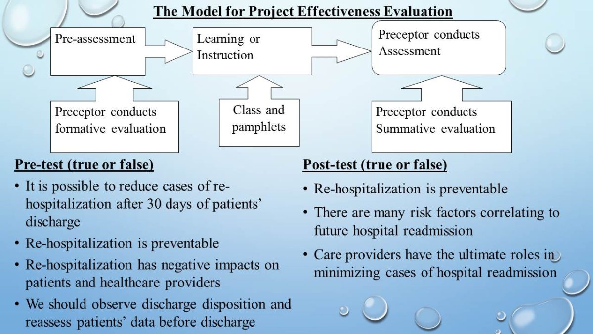 The Model for Project Effectiveness Evaluation