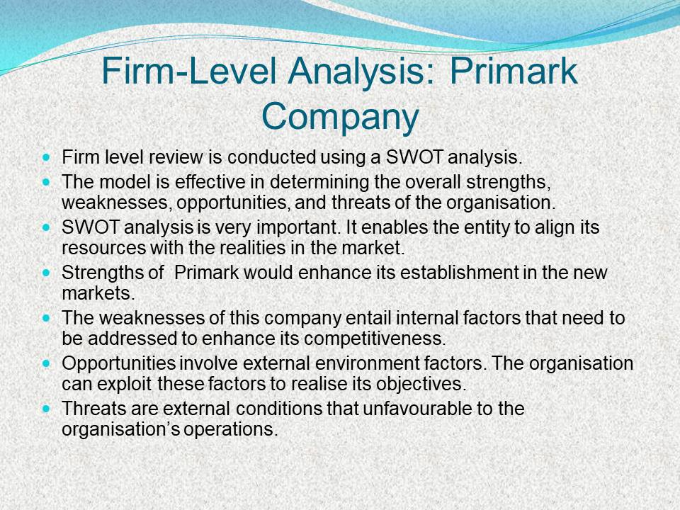 Firm-Level Analysis: Primark Company