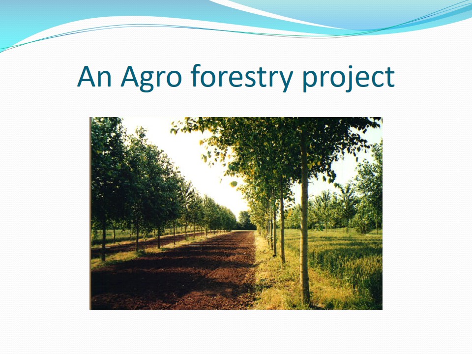 This is a fully developed forest within a farm.