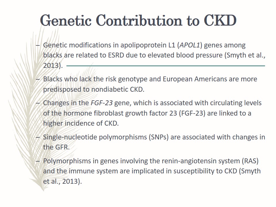 Genetic Contribution to CKD