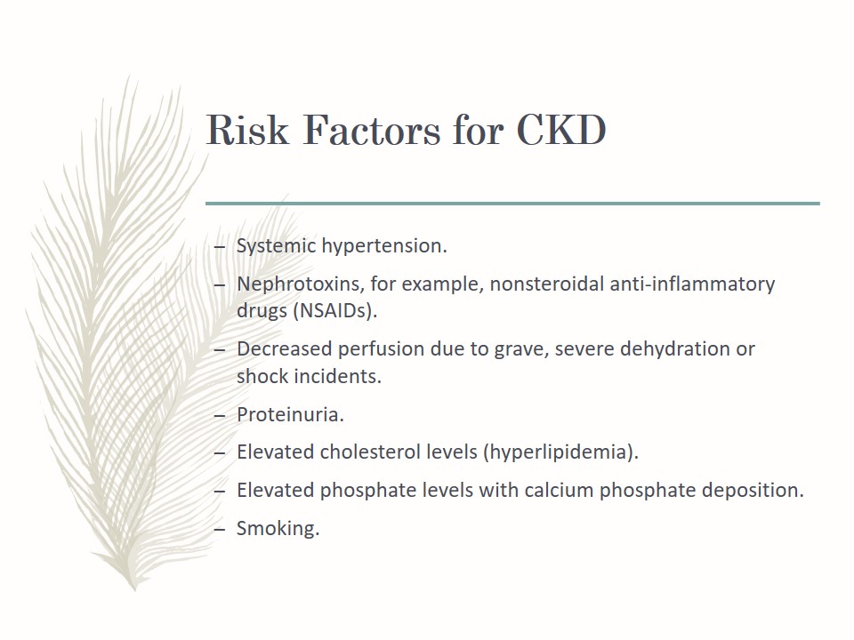 Risk Factors for CKD