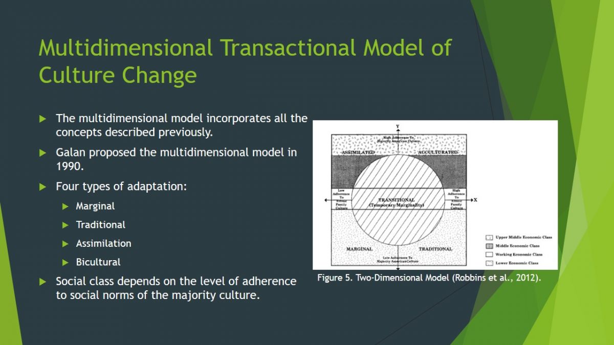 Multidimensional Transactional Model of Culture Change