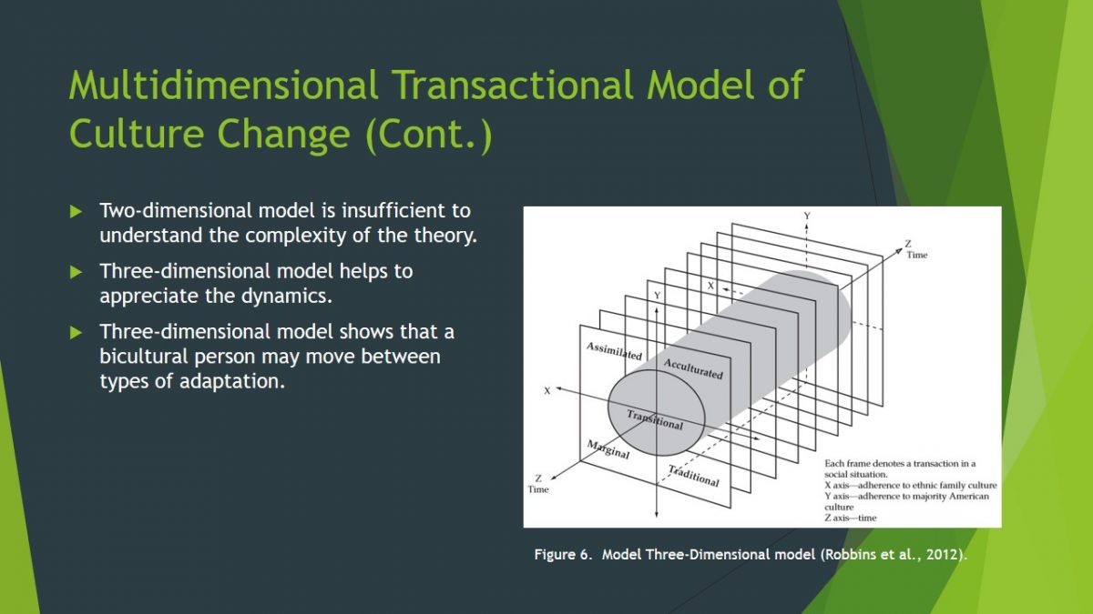 Multidimensional Transactional Model of Culture Change