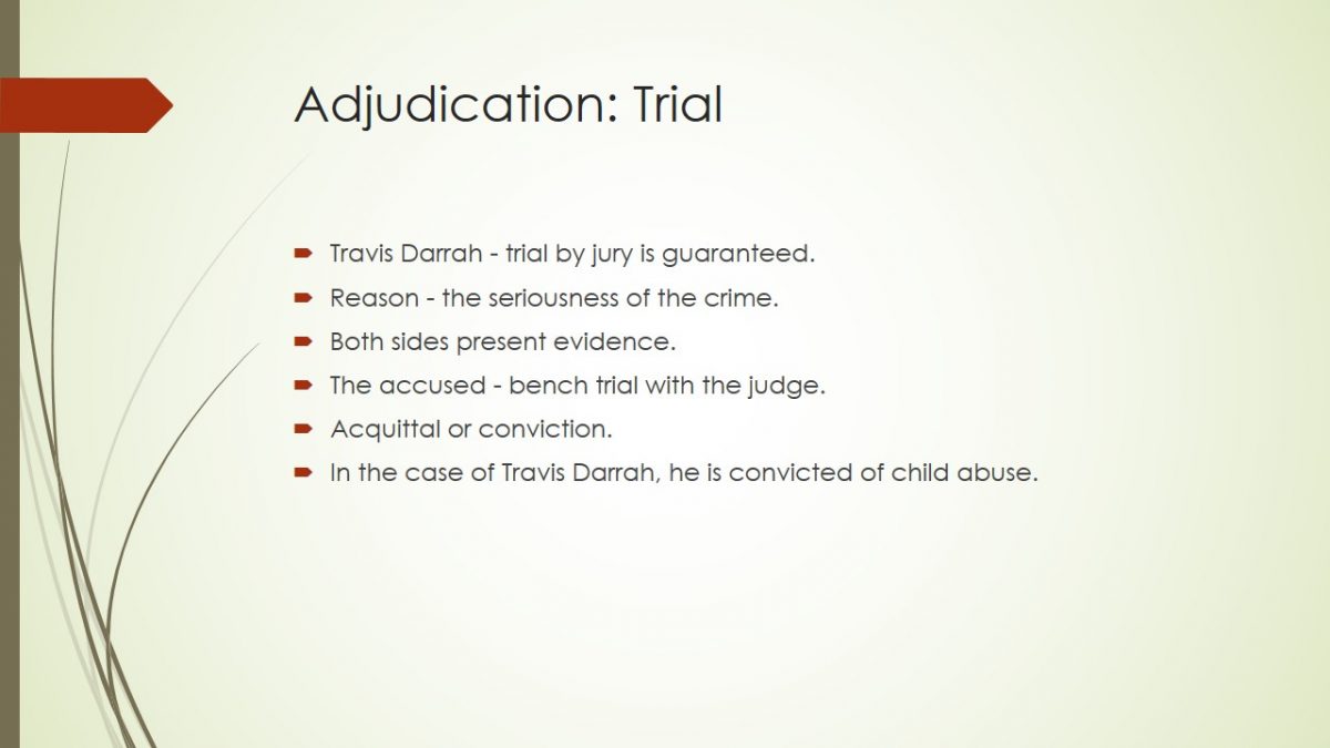 Adjudication: Trial