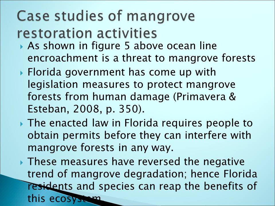 Case studies of mangrove restoration activities