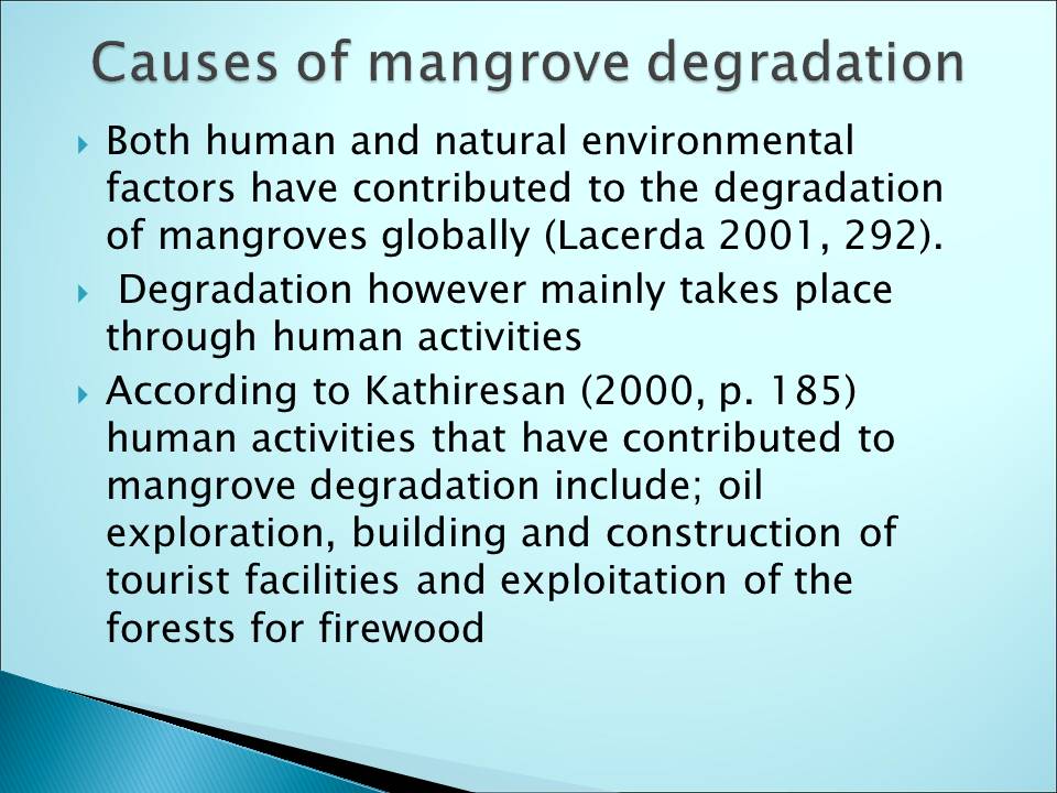 Causes of mangrove degradation