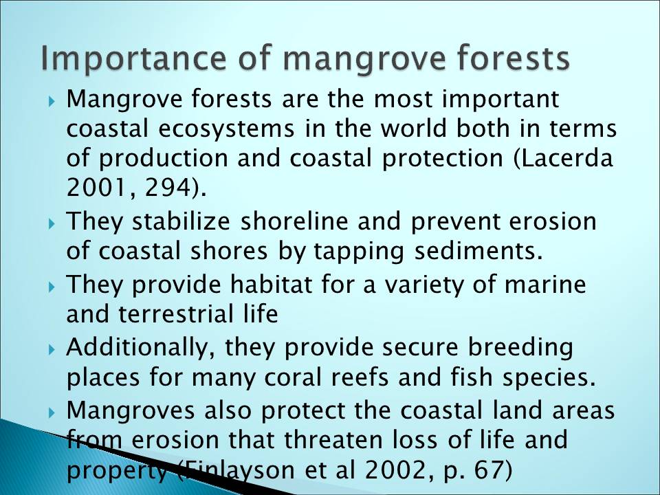 Importance of mangrove forests