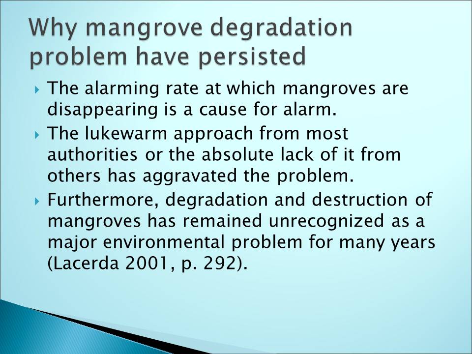 Why mangrove degradation problem have persisted