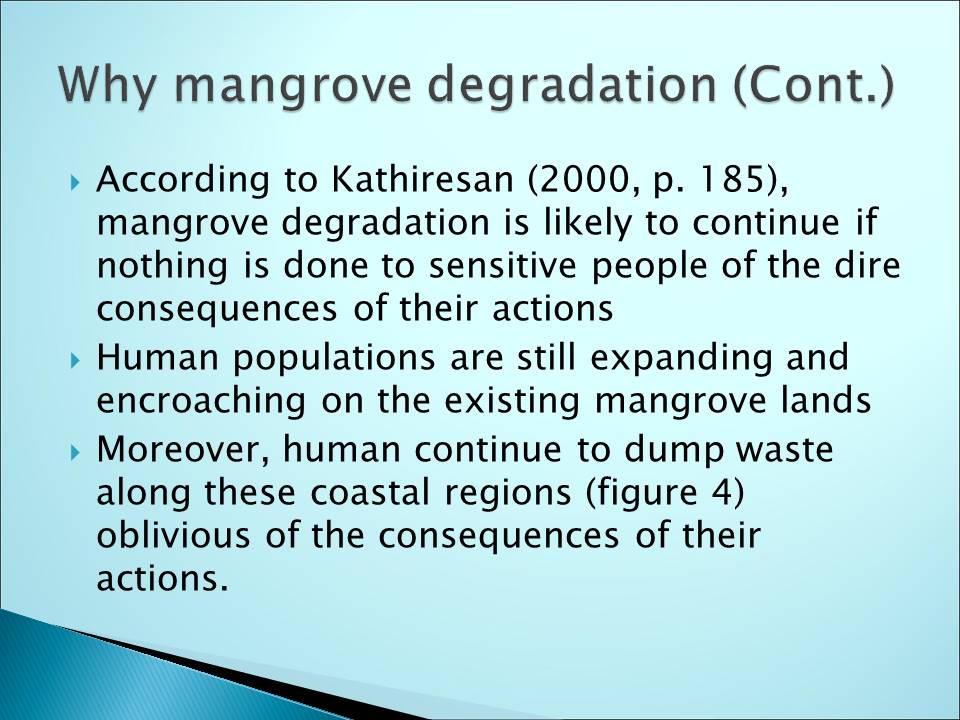 Why mangrove degradation problem have persisted