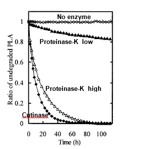 Time-kinetic hydrolysis of PLA indicating acceleration by some enzymes.