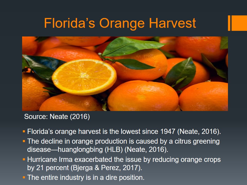 Florida Orange Harvest
